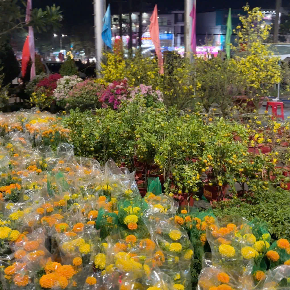 Hoa Tết